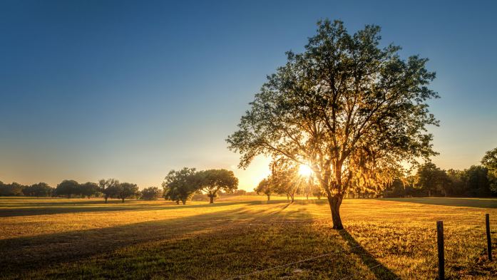 Sunset over Florida farmland