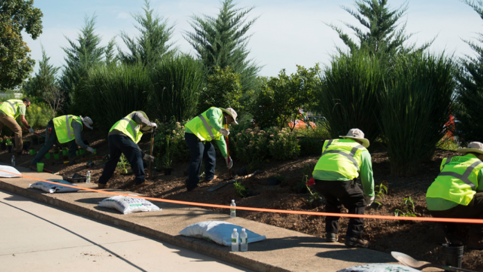Volunteers plant trees at Arlington National Cemetery