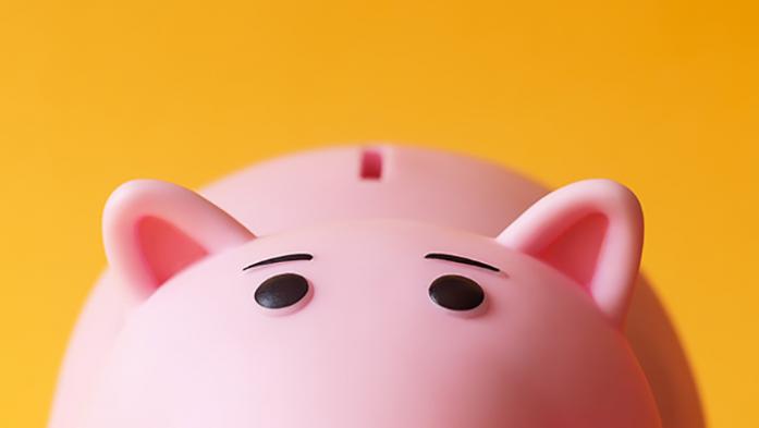 Piggy Bank on orange background