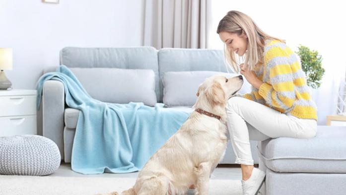 woman on sofa looking at dog
