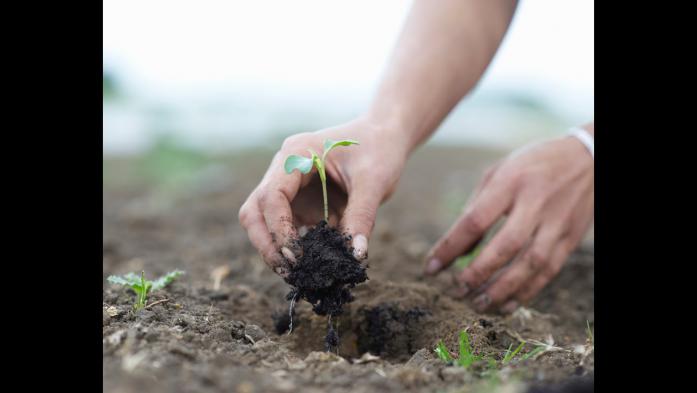 How ‘Thinking Like a Farmer’ Helps Your Real Estate Business Thrive